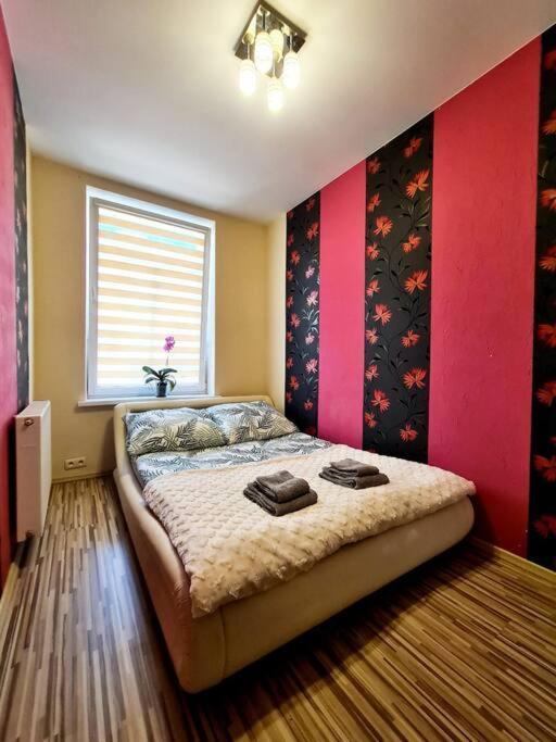 Mikolajki Apartament Miedzy Mostami Exteriör bild